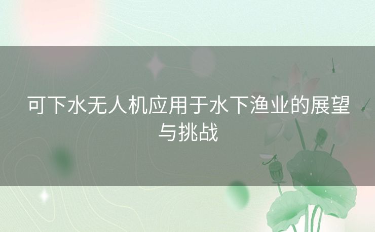 可下水无人机应用于水下渔业的展望与挑战