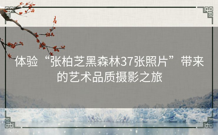 体验“张柏芝黑森林37张照片”带来的艺术品质摄影之旅