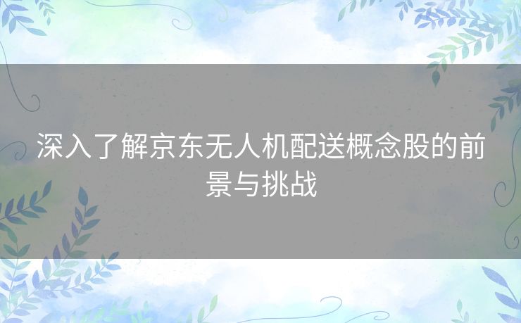 深入了解京东无人机配送概念股的前景与挑战