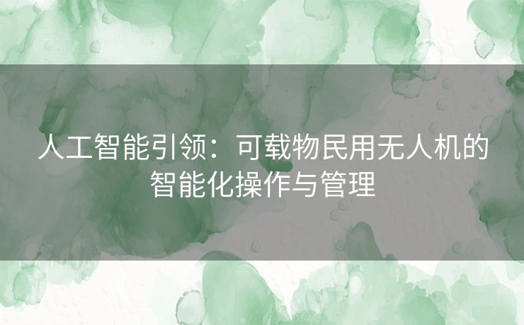 人工智能引领：可载物民用无人机的智能化操作与管理