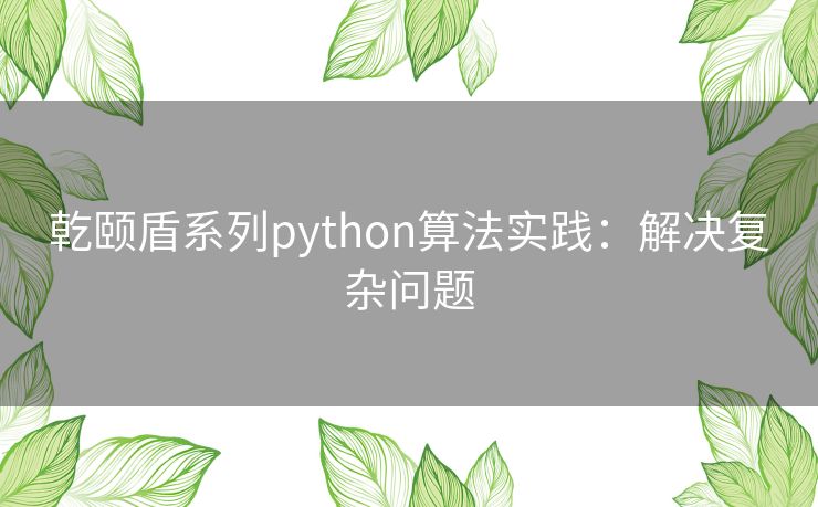 乾颐盾系列python算法实践：解决复杂问题