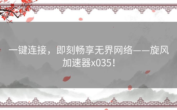 一键连接，即刻畅享无界网络——旋风加速器x035！