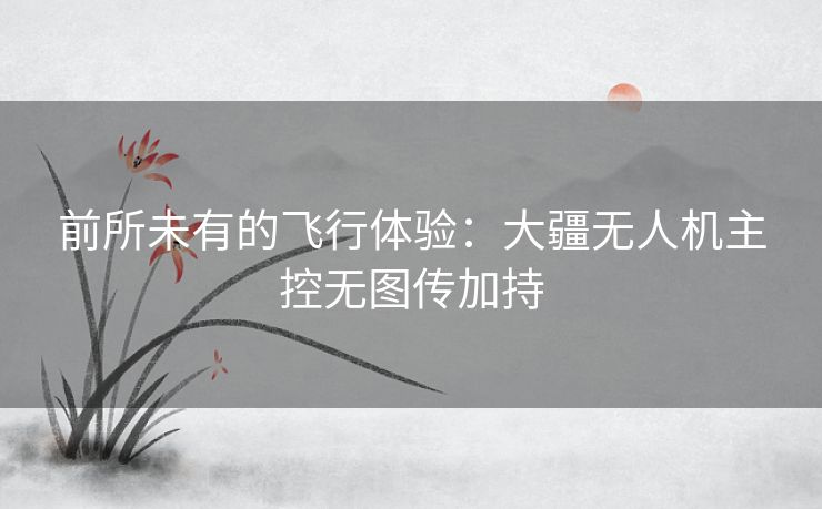 前所未有的飞行体验：大疆无人机主控无图传加持