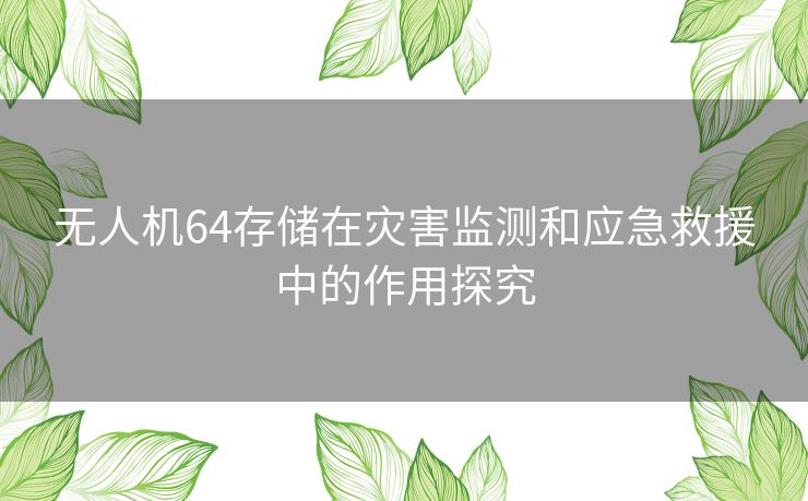 无人机64存储在灾害监测和应急救援中的作用探究