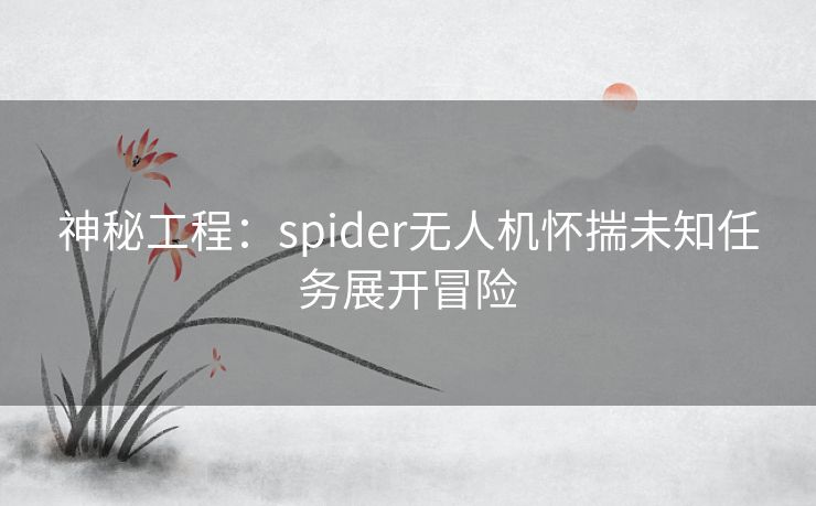 神秘工程：spider无人机怀揣未知任务展开冒险