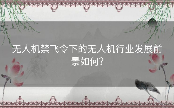 无人机禁飞令下的无人机行业发展前景如何？