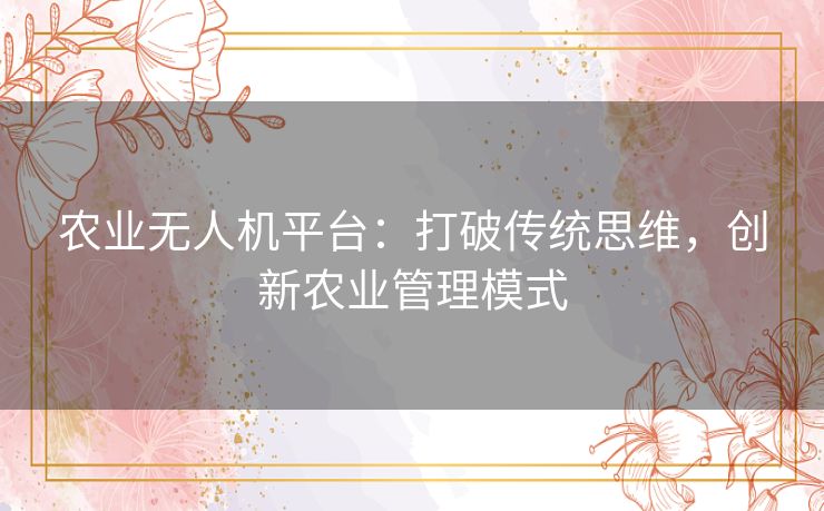 农业无人机平台：打破传统思维，创新农业管理模式