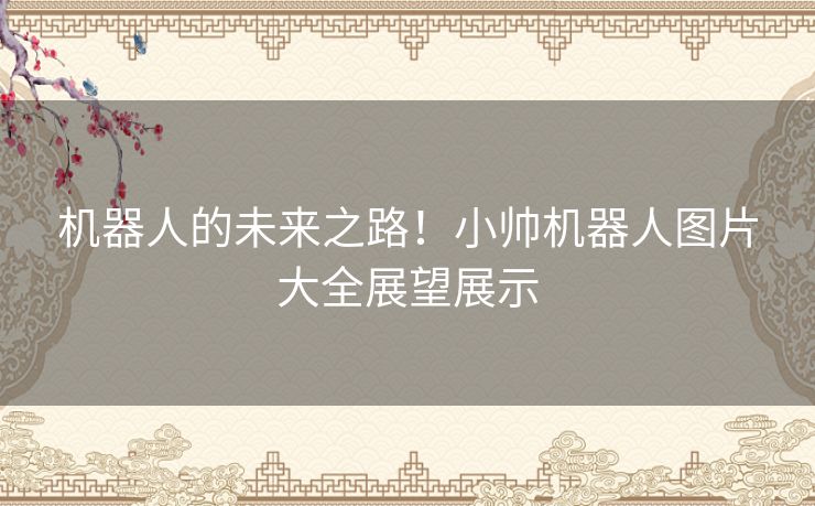 机器人的未来之路！小帅机器人图片大全展望展示