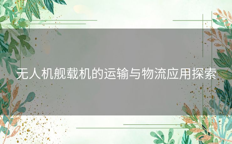 无人机舰载机的运输与物流应用探索