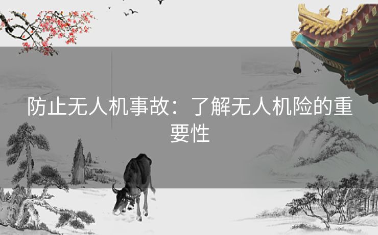 防止无人机事故：了解无人机险的重要性