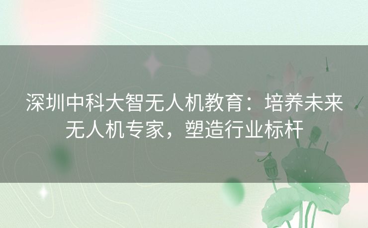 深圳中科大智无人机教育：培养未来无人机专家，塑造行业标杆
