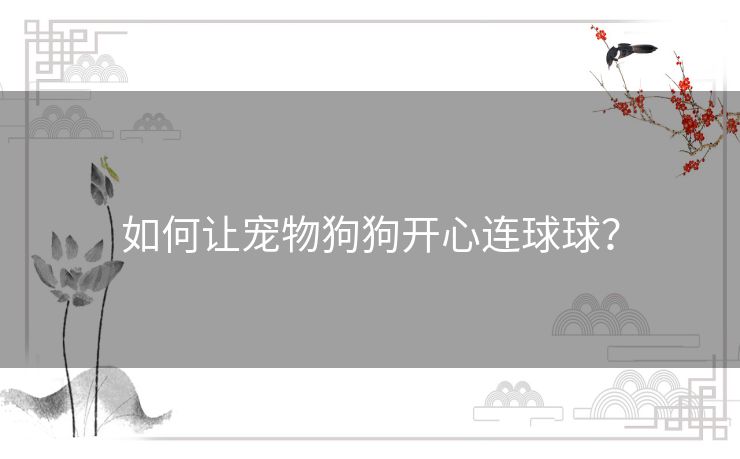 如何让宠物狗狗开心连球球？