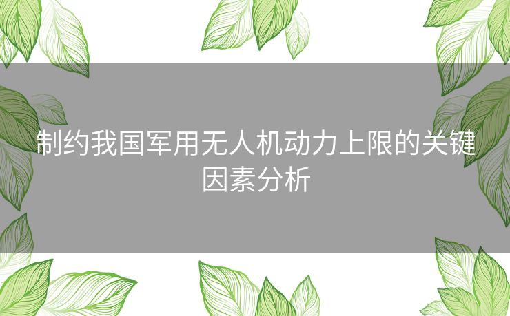 制约我国军用无人机动力上限的关键因素分析