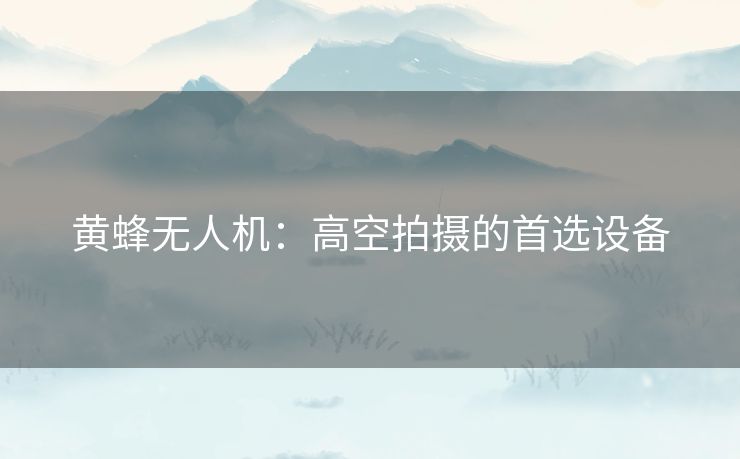 黄蜂无人机：高空拍摄的首选设备