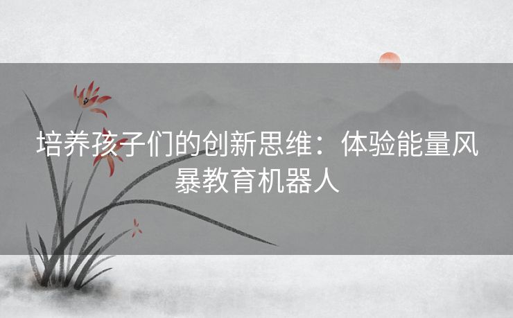 培养孩子们的创新思维：体验能量风暴教育机器人