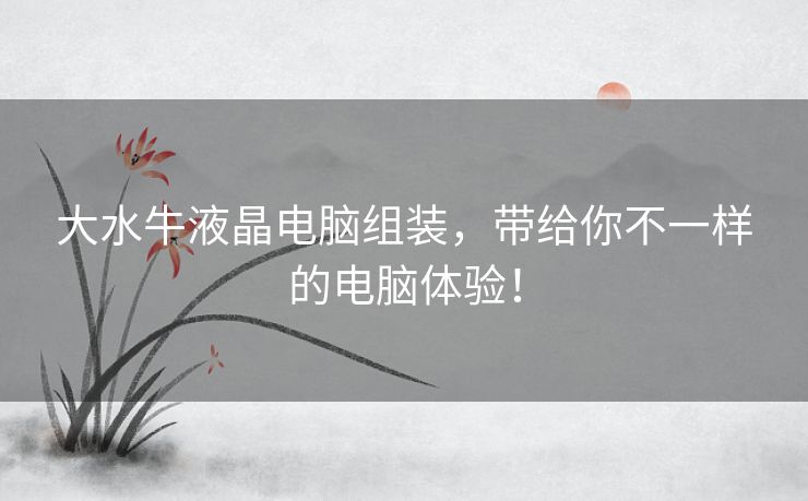 大水牛液晶电脑组装，带给你不一样的电脑体验！