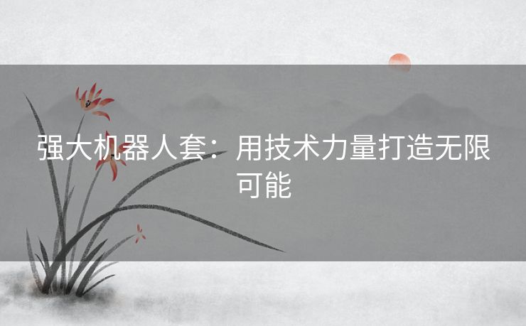 强大机器人套：用技术力量打造无限可能