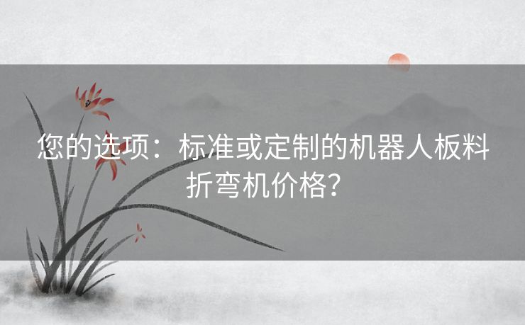 您的选项：标准或定制的机器人板料折弯机价格？