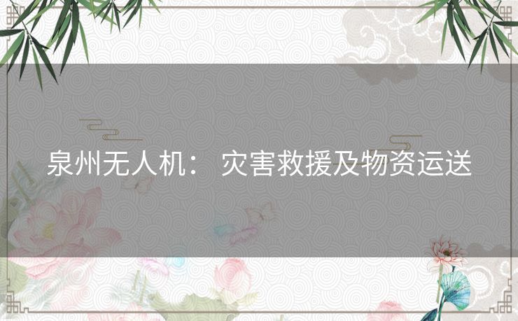 泉州无人机： 灾害救援及物资运送
