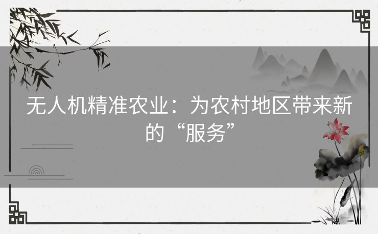 无人机精准农业：为农村地区带来新的“服务”