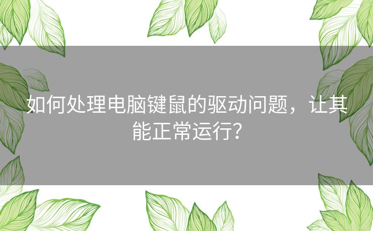 如何处理电脑键鼠的驱动问题，让其能正常运行？