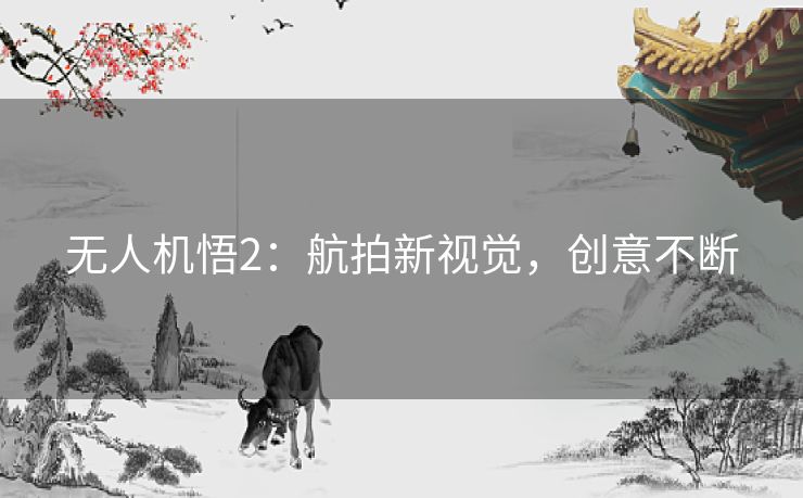 无人机悟2：航拍新视觉，创意不断