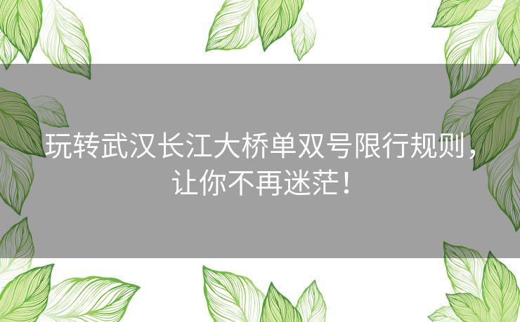 玩转武汉长江大桥单双号限行规则，让你不再迷茫！