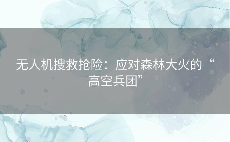 无人机搜救抢险：应对森林大火的“高空兵团”