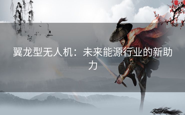 翼龙型无人机：未来能源行业的新助力