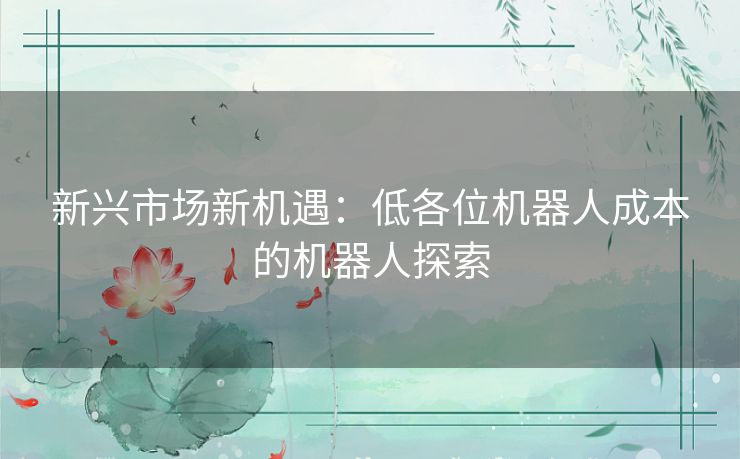 新兴市场新机遇：低各位机器人成本的机器人探索