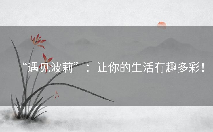 “遇见波莉”：让你的生活有趣多彩！