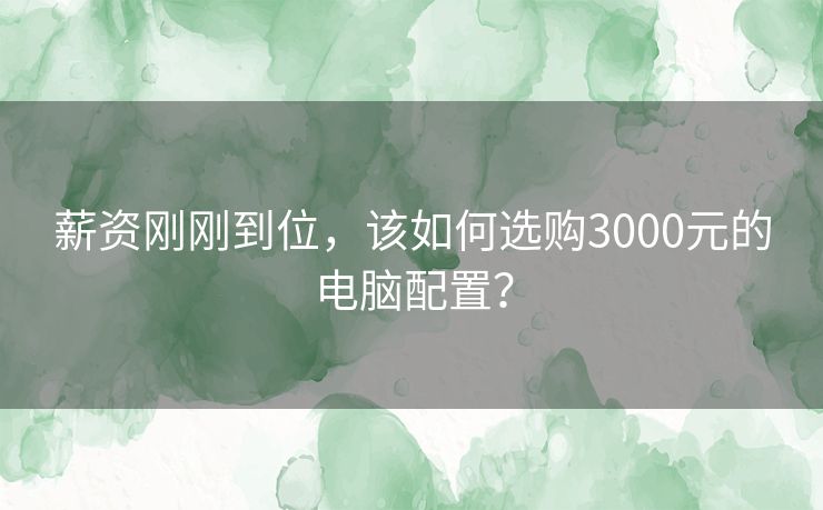 薪资刚刚到位，该如何选购3000元的电脑配置？