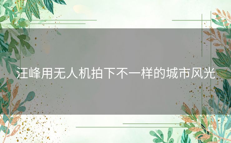 汪峰用无人机拍下不一样的城市风光