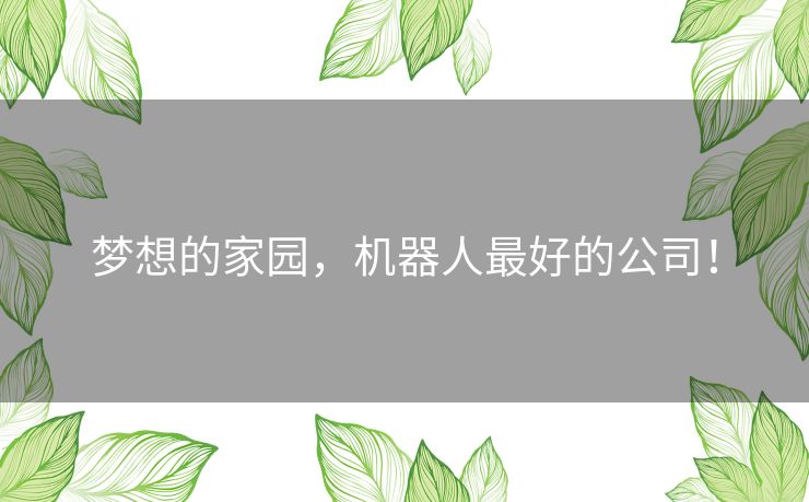 梦想的家园，机器人最好的公司！