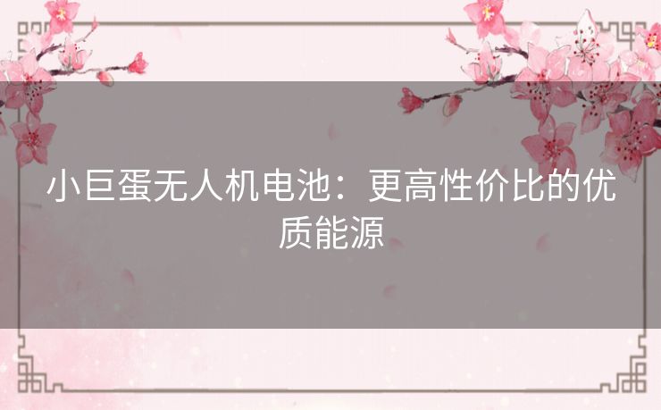 小巨蛋无人机电池：更高性价比的优质能源