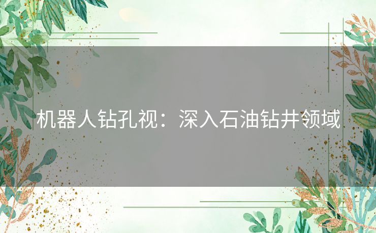 机器人钻孔视：深入石油钻井领域