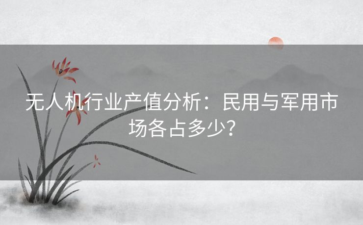 无人机行业产值分析：民用与军用市场各占多少？