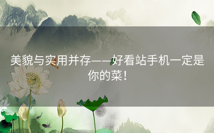 美貌与实用并存——好看站手机一定是你的菜！