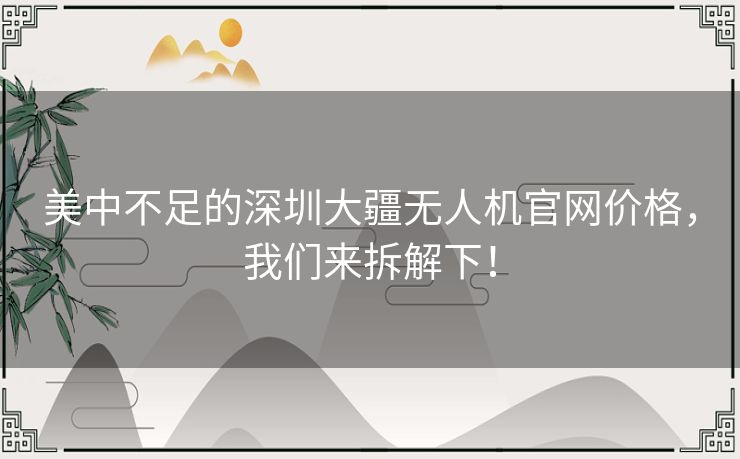 美中不足的深圳大疆无人机官网价格，我们来拆解下！