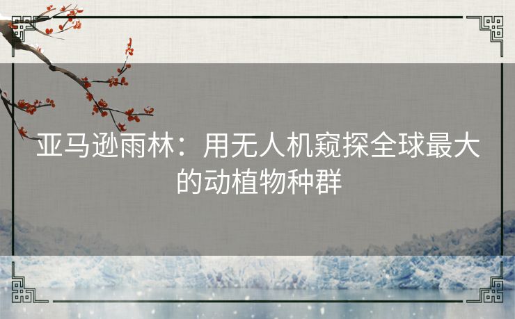 亚马逊雨林：用无人机窥探全球最大的动植物种群
