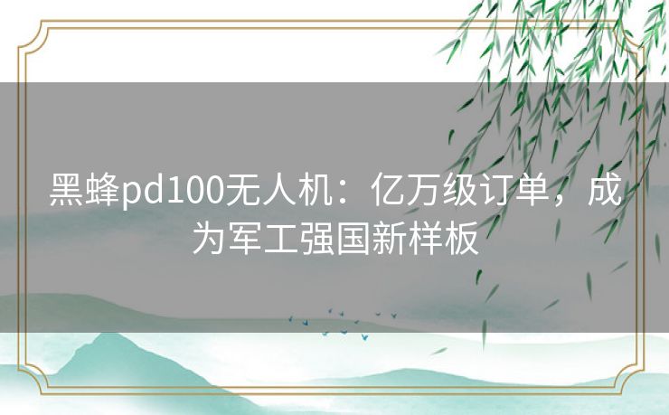 黑蜂pd100无人机：亿万级订单，成为军工强国新样板