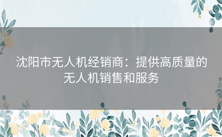 沈阳市无人机经销商：提供高质量的无人机销售和服务