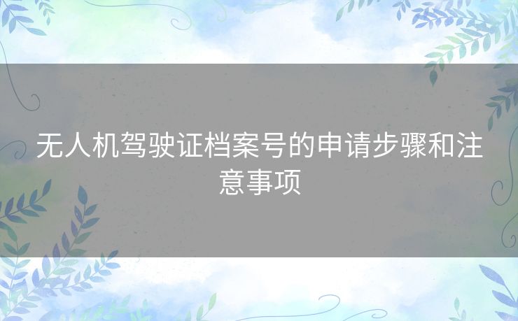 无人机驾驶证档案号的申请步骤和注意事项