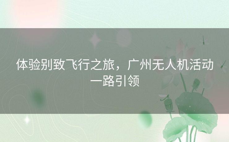 体验别致飞行之旅，广州无人机活动一路引领