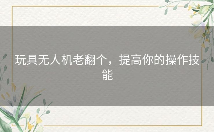 玩具无人机老翻个，提高你的操作技能