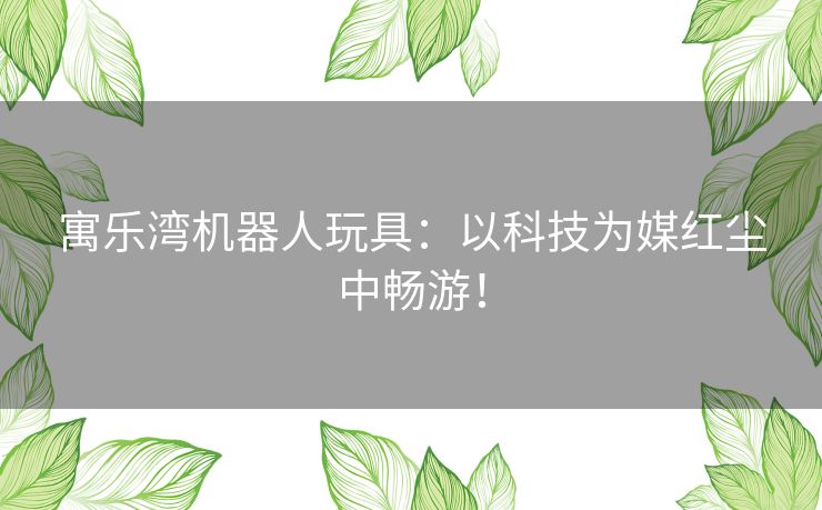寓乐湾机器人玩具：以科技为媒红尘中畅游！