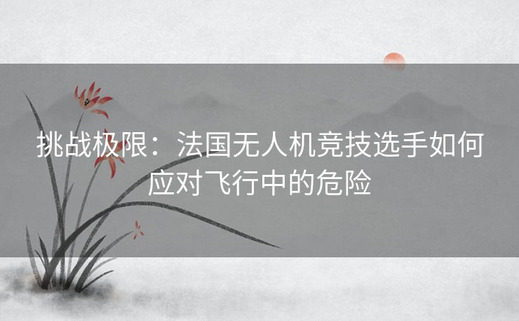 挑战极限：法国无人机竞技选手如何应对飞行中的危险