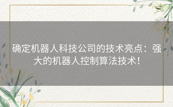 确定机器人科技公司的技术亮点：强大的机器人控制算法技术！