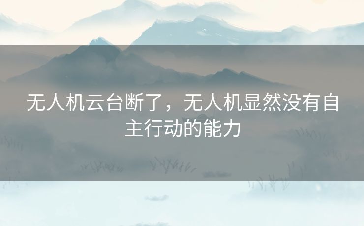 无人机云台断了，无人机显然没有自主行动的能力