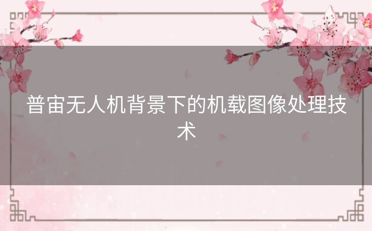 普宙无人机背景下的机载图像处理技术